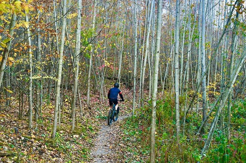 Mosquito Creek Trails